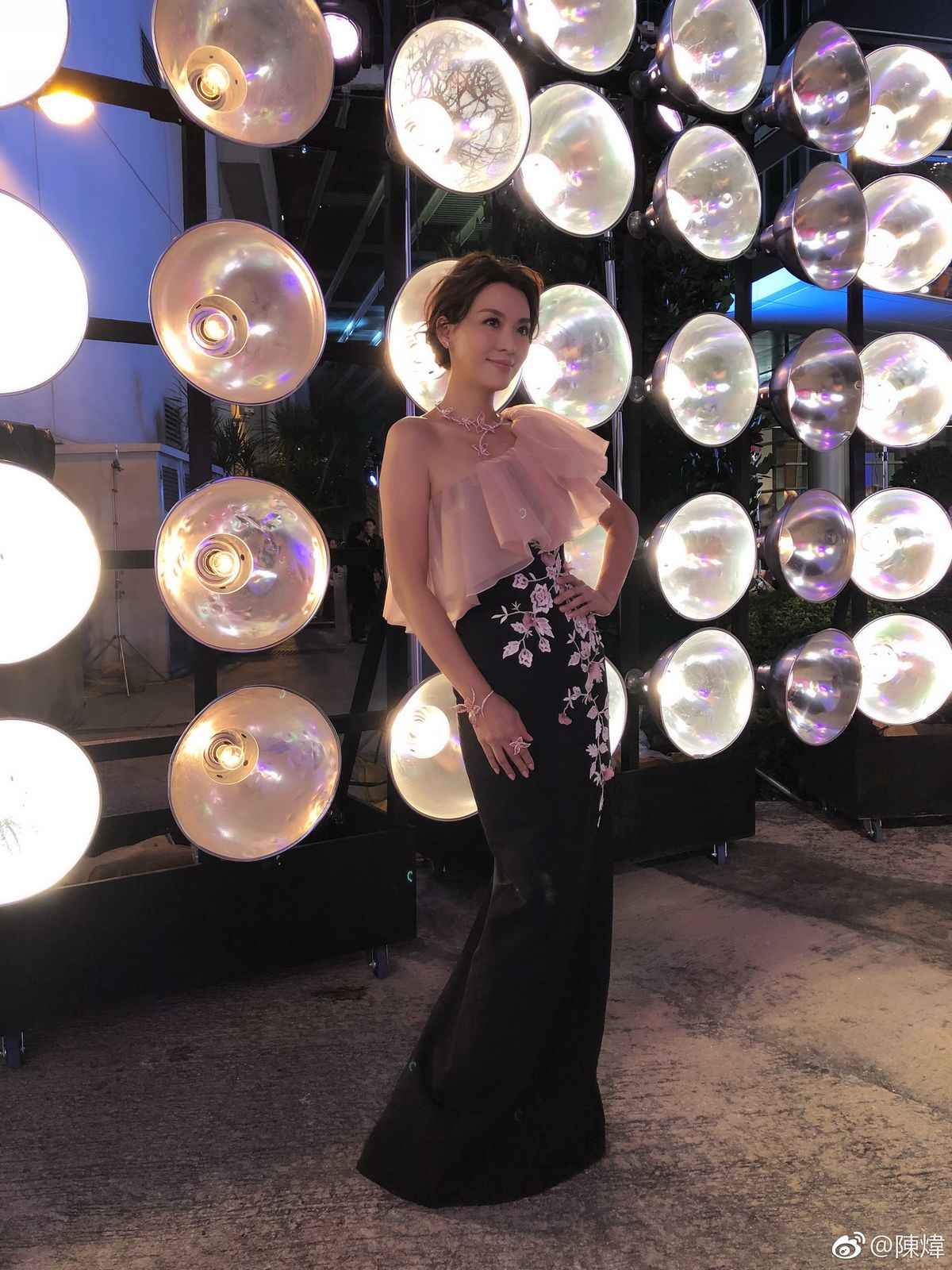 Alice Chan HD Images/Photo Gallery Download #1383366