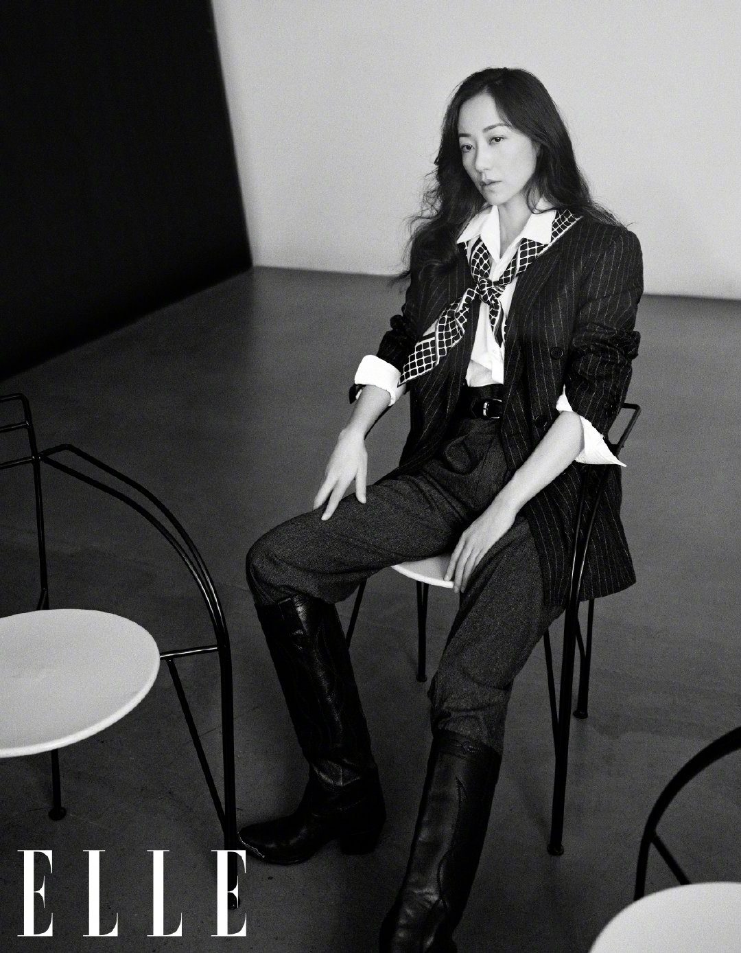한쉐 HD 이미지/사진 갤러리 다운로드 #6346323