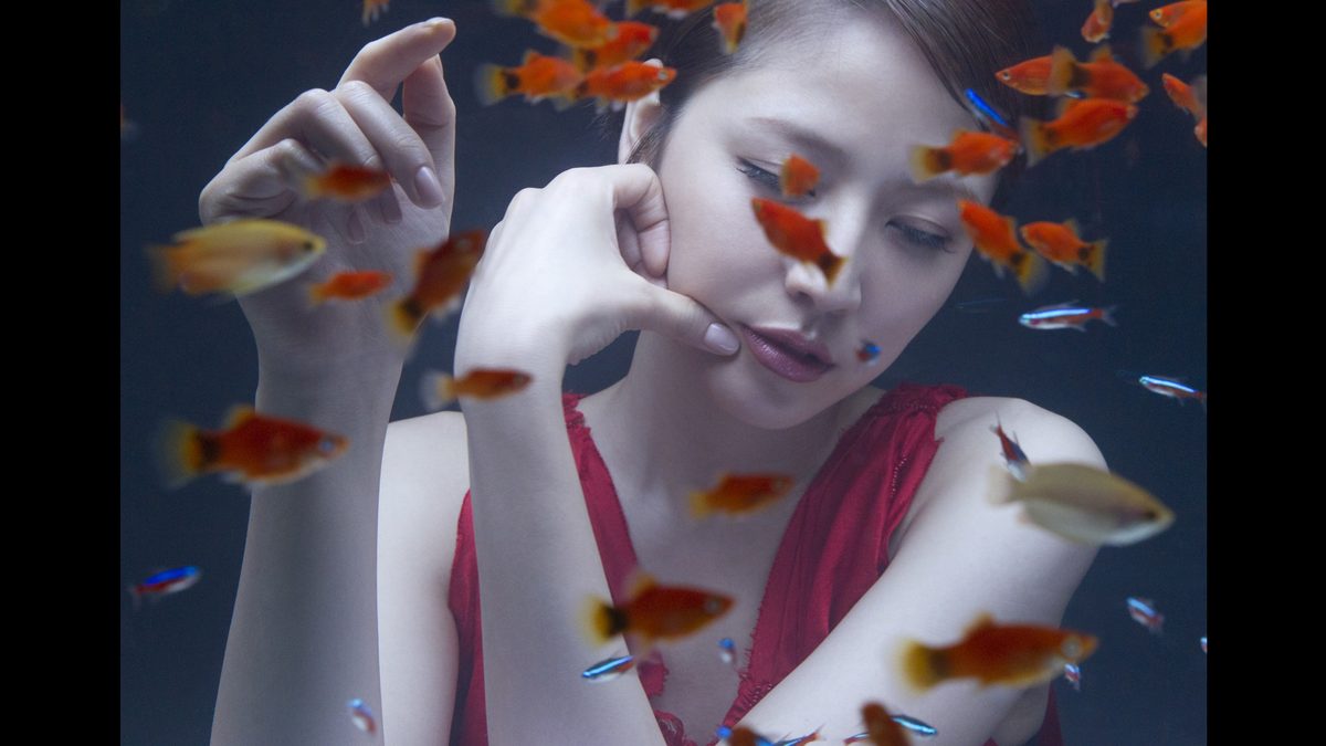 나가사와 마사미 HD 이미지/사진 갤러리 다운로드 #579086