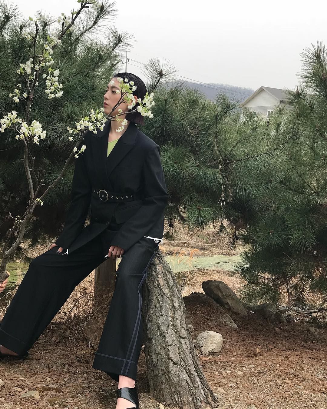 三吉彩花 高清写真/照片下载 #7488308