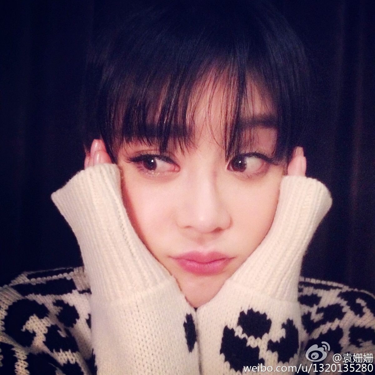 Shanshan Yuan HD Images/Photo Gallery Download #2025305