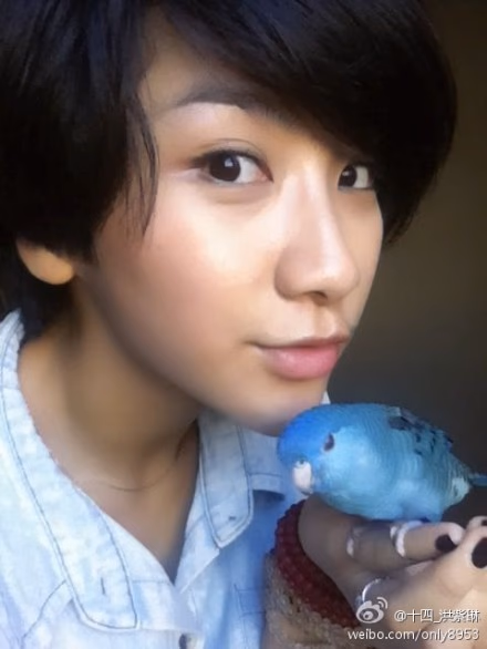 洪紫琳 高清写真/照片下载 #3481989