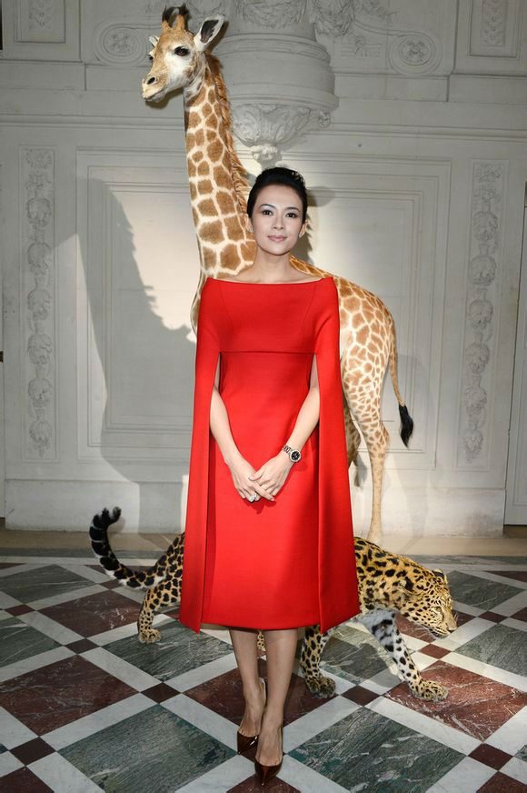 Ziyi Zhang HD Images/Photo Gallery Download #1565643