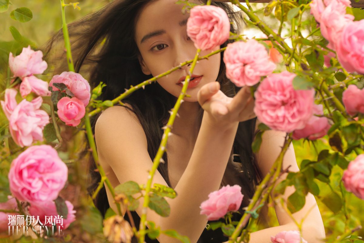 Angelababy HD Images/Photo Gallery Download #6359282