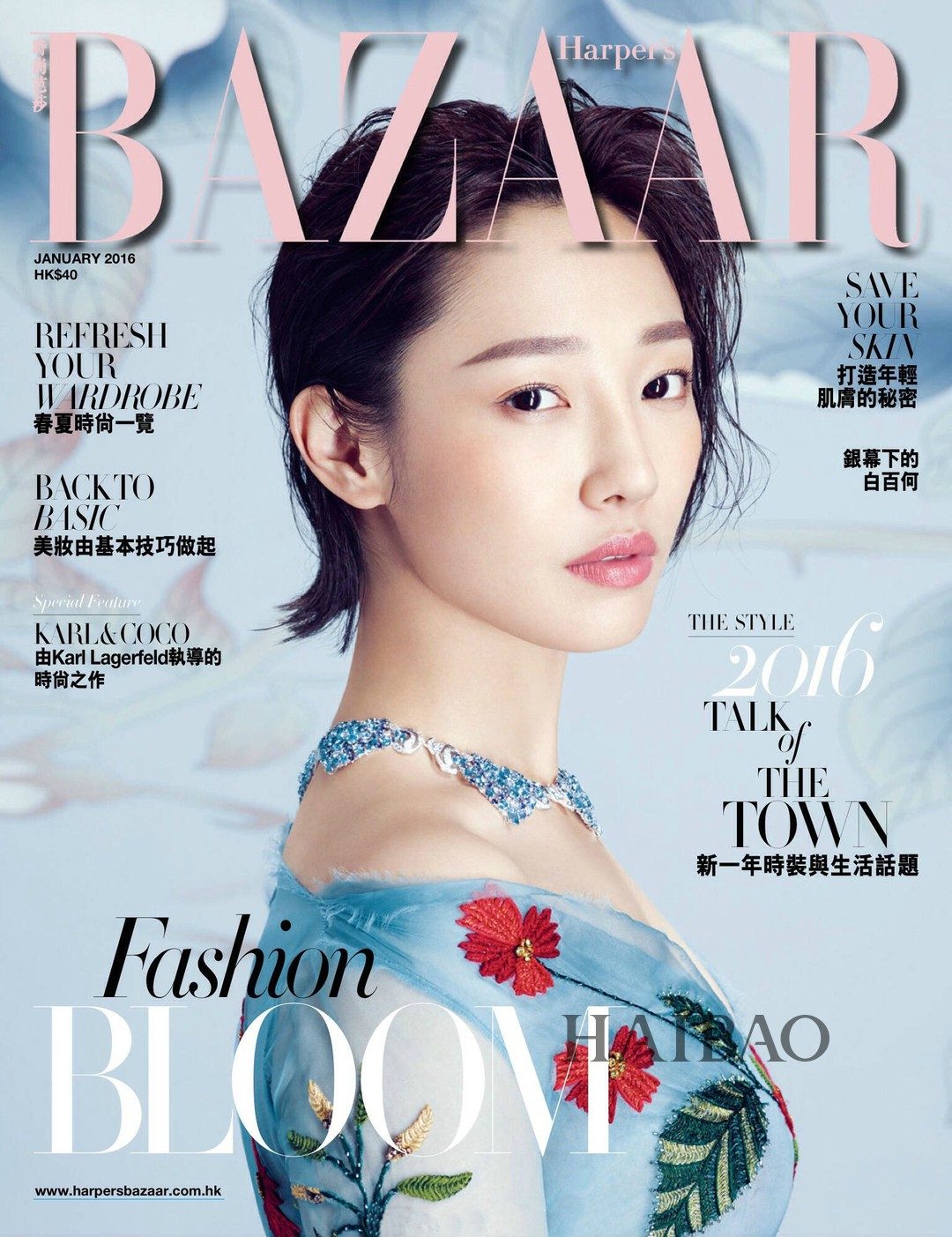 Baihe Bai HD Images/Photo Gallery Download #7091207