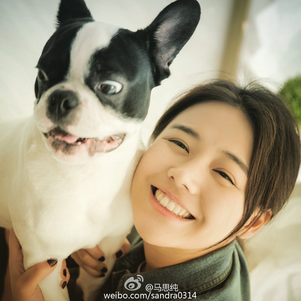 Sichun Ma HD Images/Photo Gallery Download #7047453