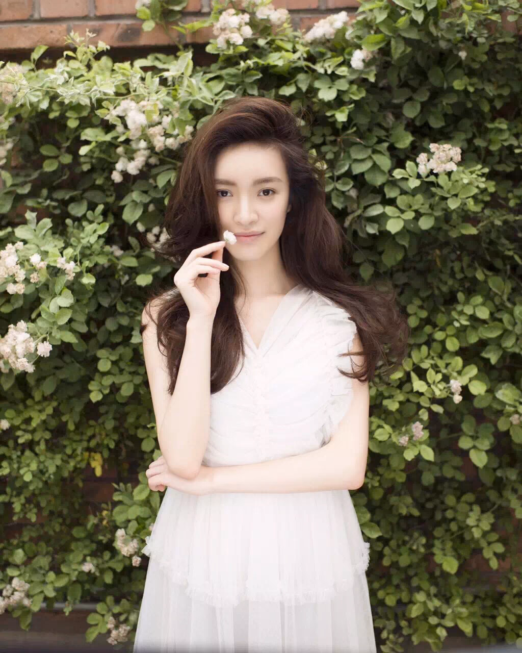 顾璇 高清写真/照片下载 #3325251