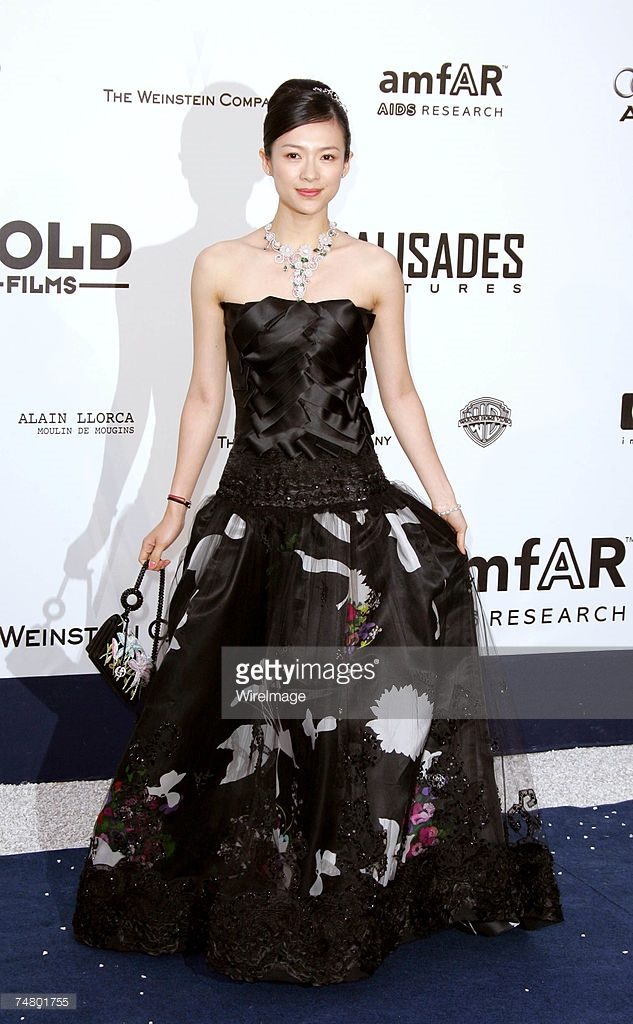 장쯔이 HD 이미지/사진 갤러리 다운로드 #1046640