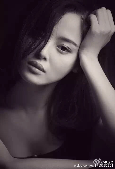 辛芷蕾 高清写真/照片下载 #3469038