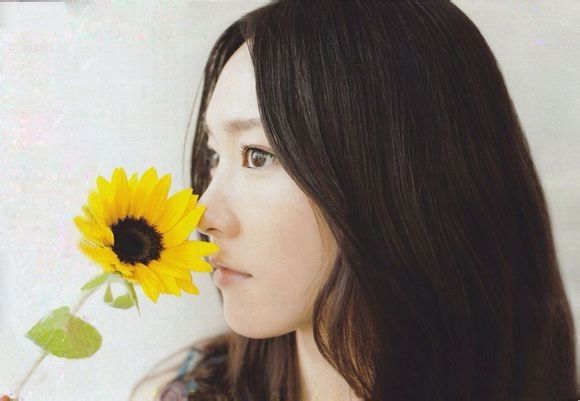 新垣结衣 高清写真/照片下载 #846085