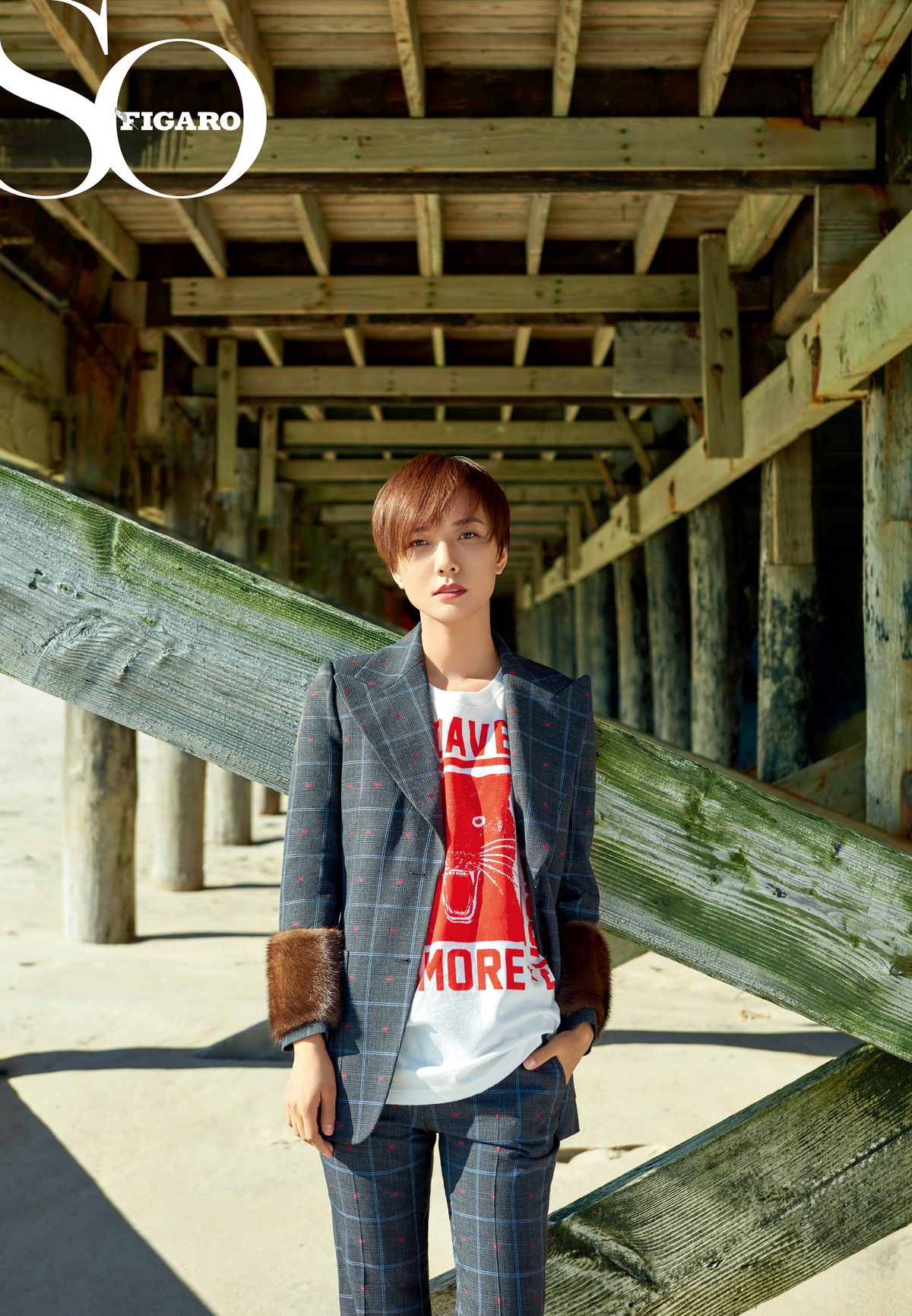 Luodan Wang HD Images/Photo Gallery Download #1953029