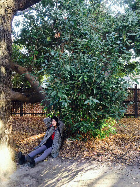 Rena Nounen HD Images/Photo Gallery Download #3507173