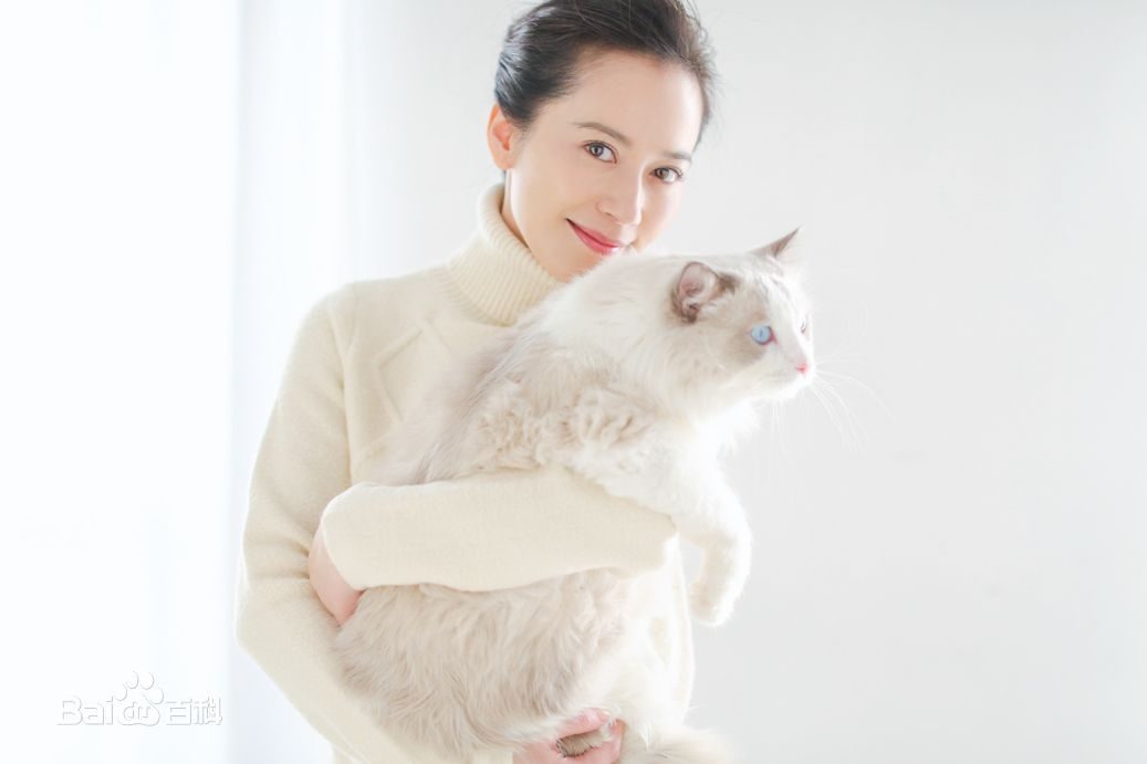 Feihong Yu HD Images/Photo Gallery Download #619707