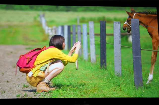 Yui Aragaki HD Images/Photo Gallery Download #1850518