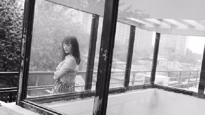 何杜娟 高清写真/照片下载 #3317154