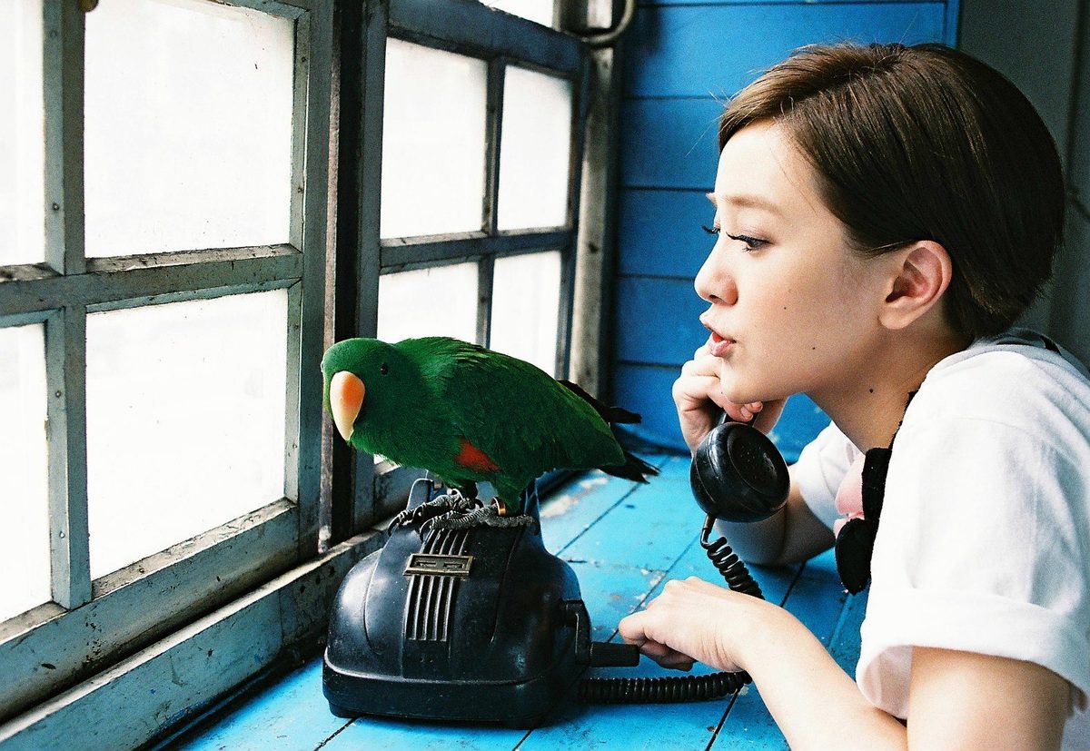 Amber Kuo HD Images/Photo Gallery Download #1700591