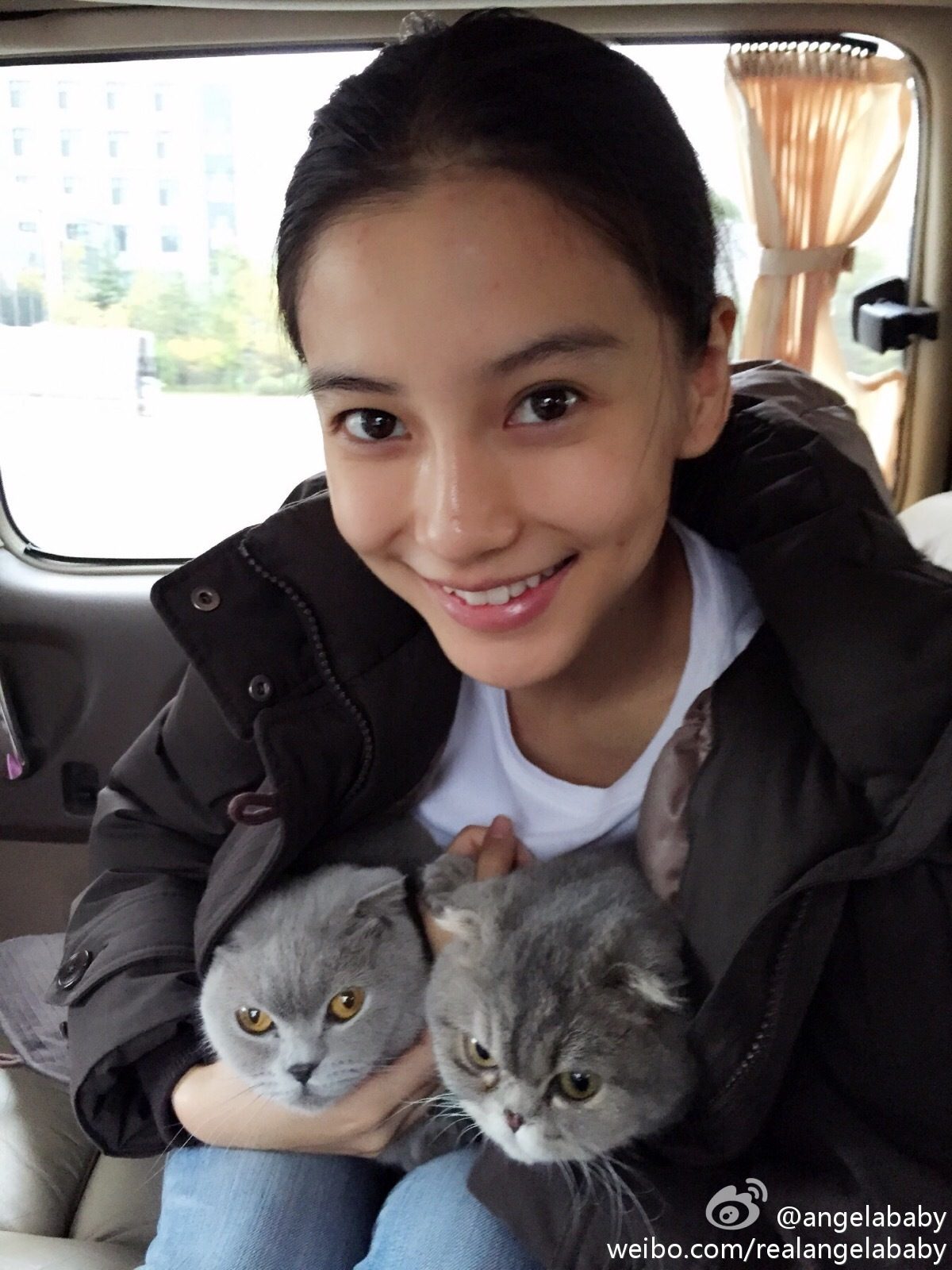 Angelababy HD Images/Photo Gallery Download #6652491