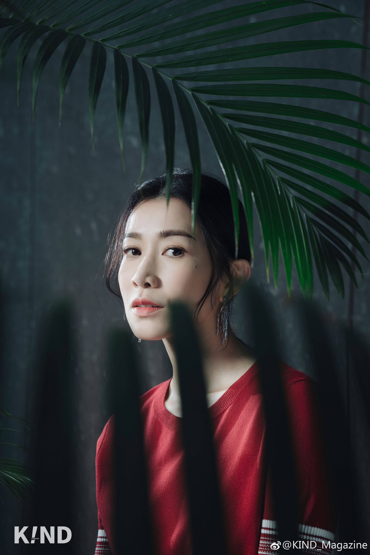 Charmaine Sheh HD Images/Photo Gallery Download #784053