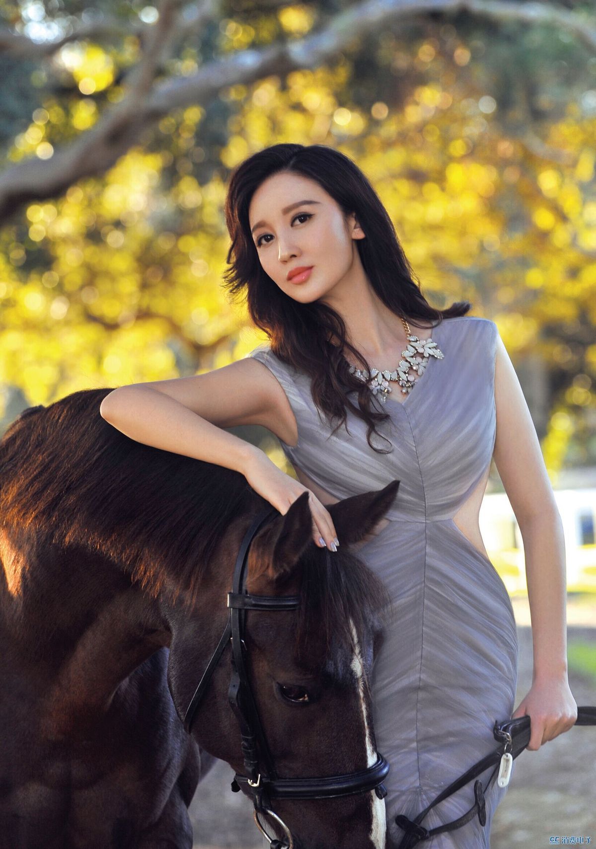 Meng Zhang HD Images/Photo Gallery Download #7021275