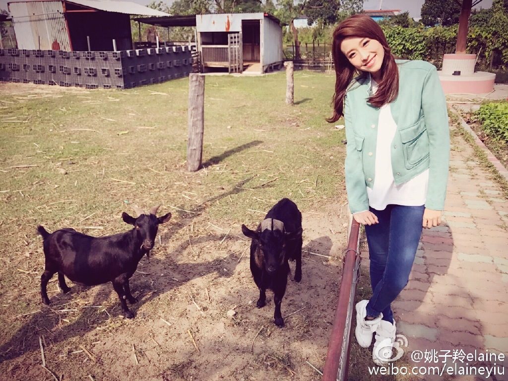 Elaine Yiu HD Images/Photo Gallery Download #1366785