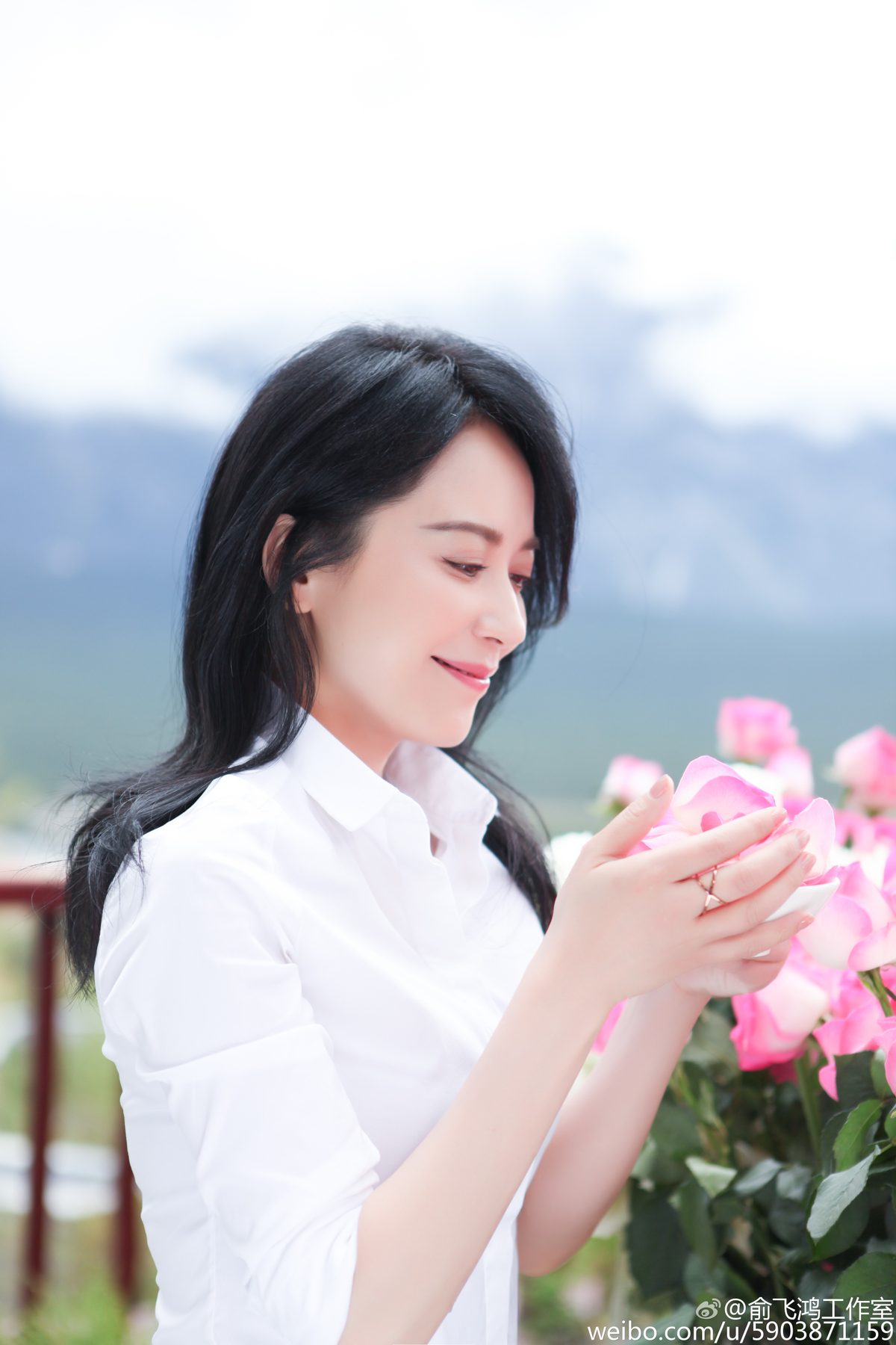 Feihong Yu HD Images/Photo Gallery Download #619857