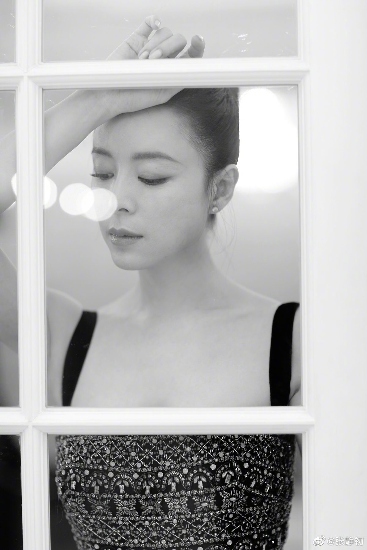 张静初 高清写真/照片下载 #7170760