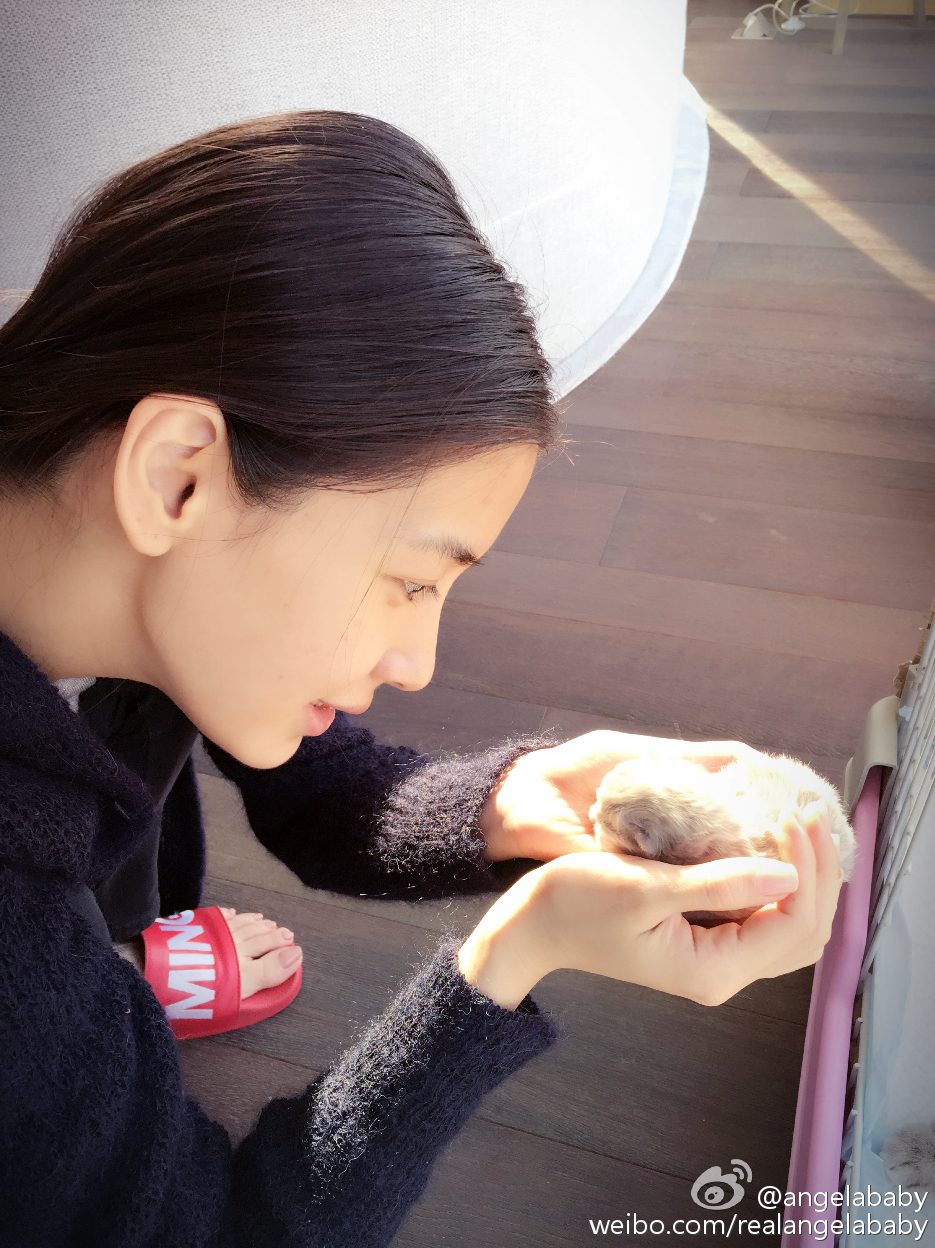 Angelababy HD Images/Photo Gallery Download #6647432