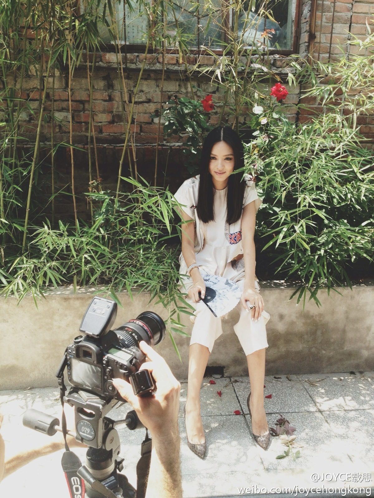 Zilin Zhang HD Images/Photo Gallery Download #2005267
