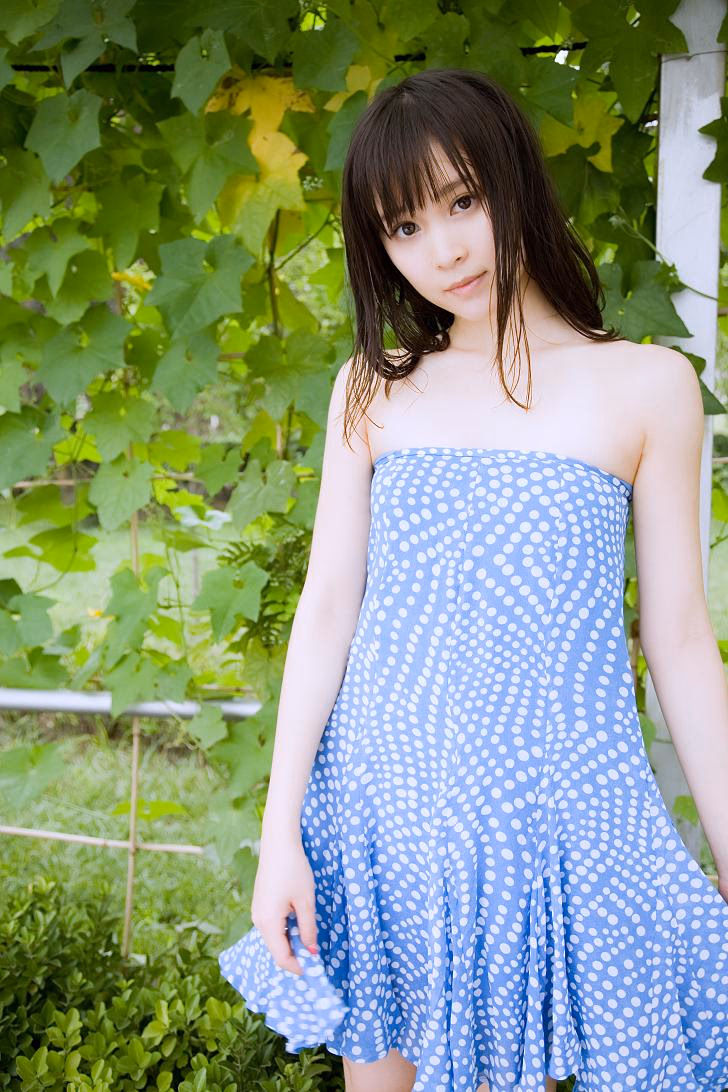 원비 HD 이미지/사진 갤러리 다운로드 #3355115