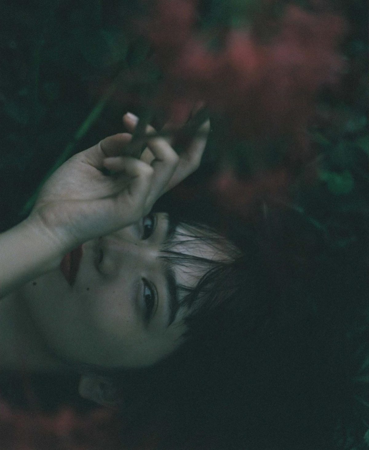 小松菜奈 高清写真/照片下载 #5950280