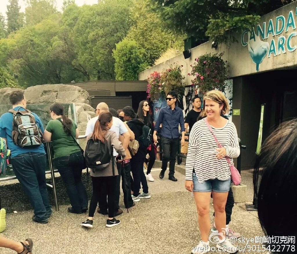 高圆圆 高清写真/照片下载 #669696