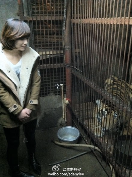 Lisi Danni HD Images/Photo Gallery Download #3482755