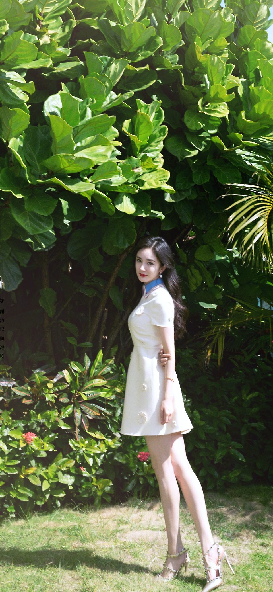 杨幂 高清写真/照片下载 #1412678