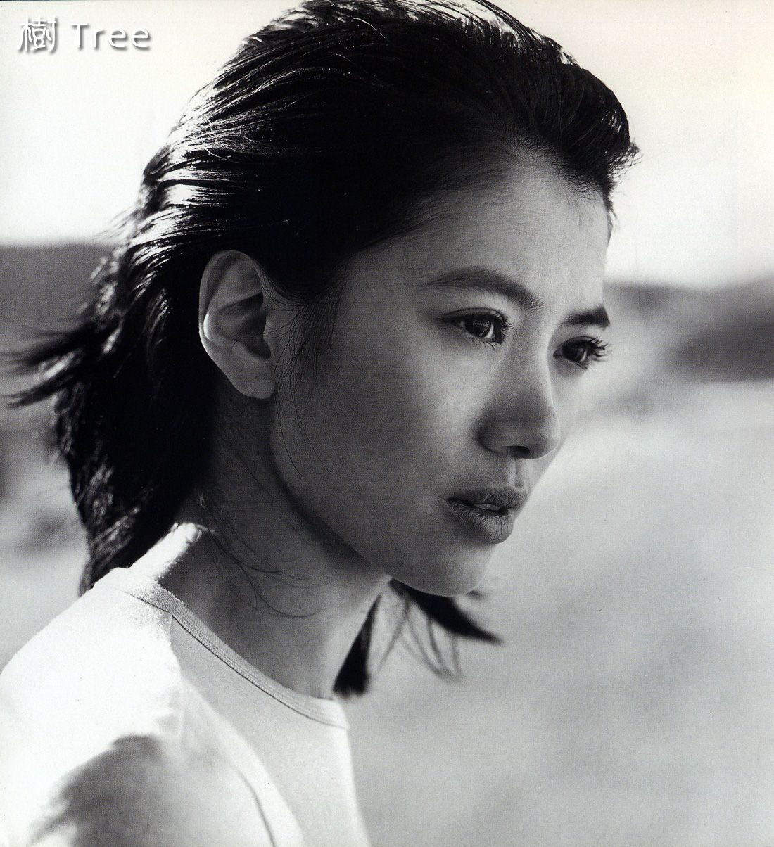 Anita Yuen HD Images/Photo Gallery Download #1313821