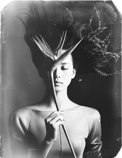 Shi Shi Liu HD Images/Photo Gallery Download #6781946