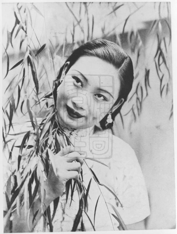 Butterfly Wu HD Images/Photo Gallery Download #7068920