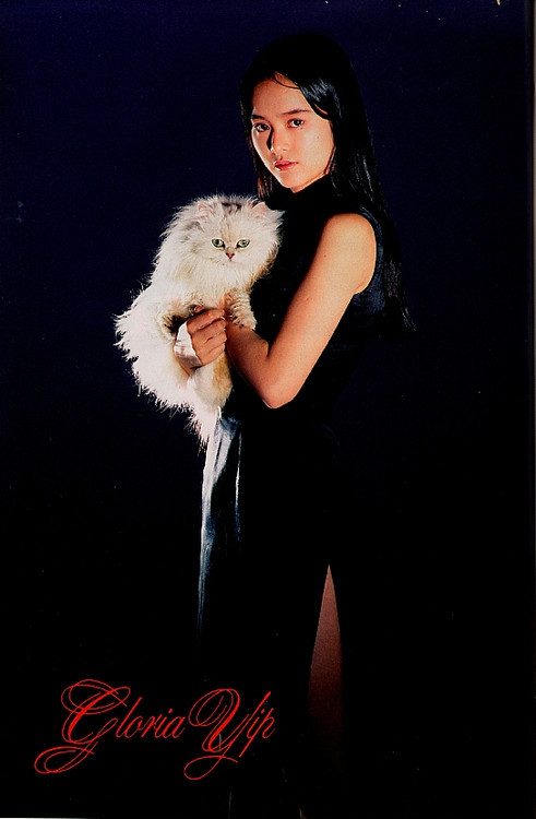 Gloria Yip HD Images/Photo Gallery Download #623164