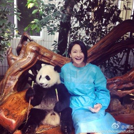 Xun Zhou HD Images/Photo Gallery Download #1645141