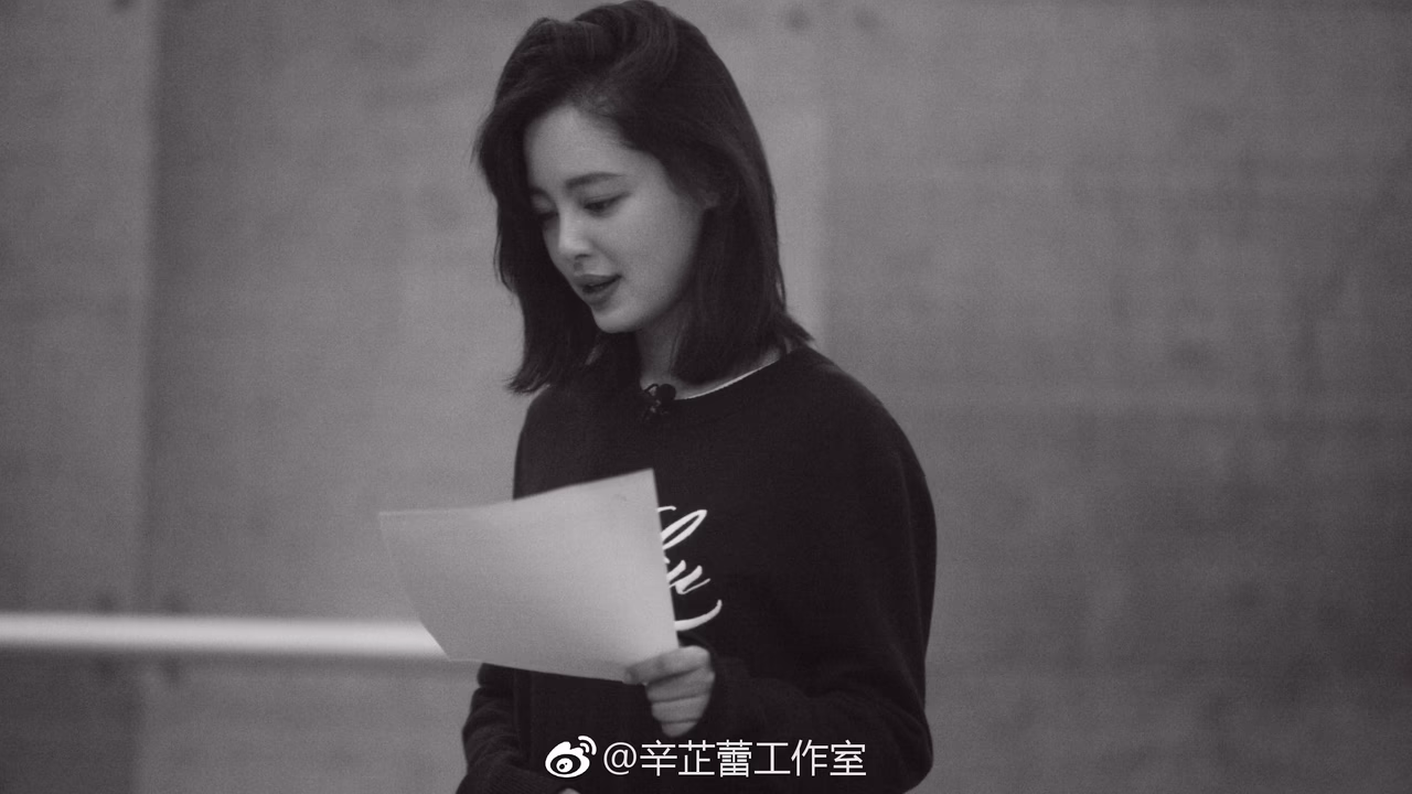 辛芷蕾 高清写真/照片下载 #3446459