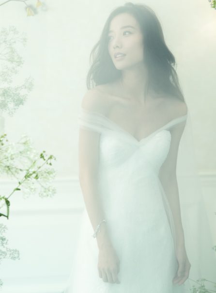Luodan Wang HD Images/Photo Gallery Download #1953179