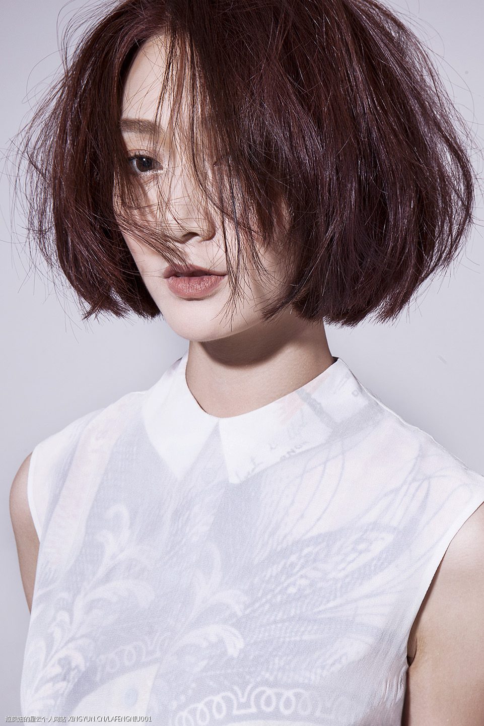 Zhilin Pan HD Images/Photo Gallery Download #6983756