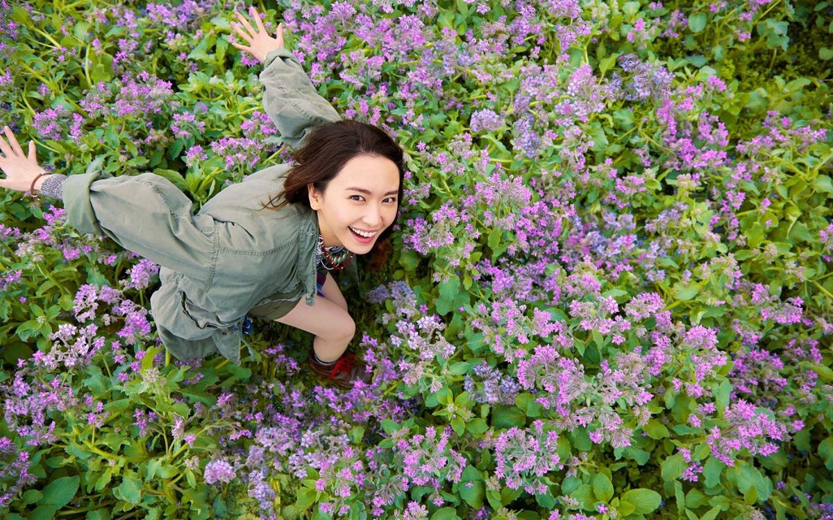 Yui Aragaki HD Images/Photo Gallery Download #7186063