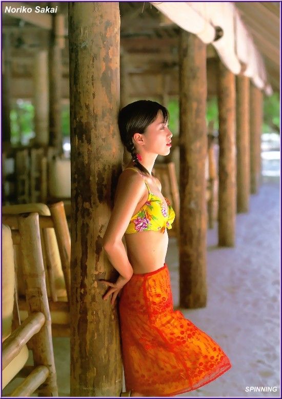 Noriko Sakai HD Images/Photo Gallery Download #9681779