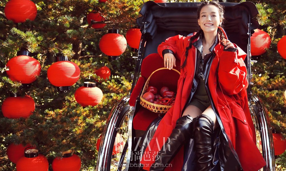 Shu Qi HD Images/Photo Gallery Download #6723039