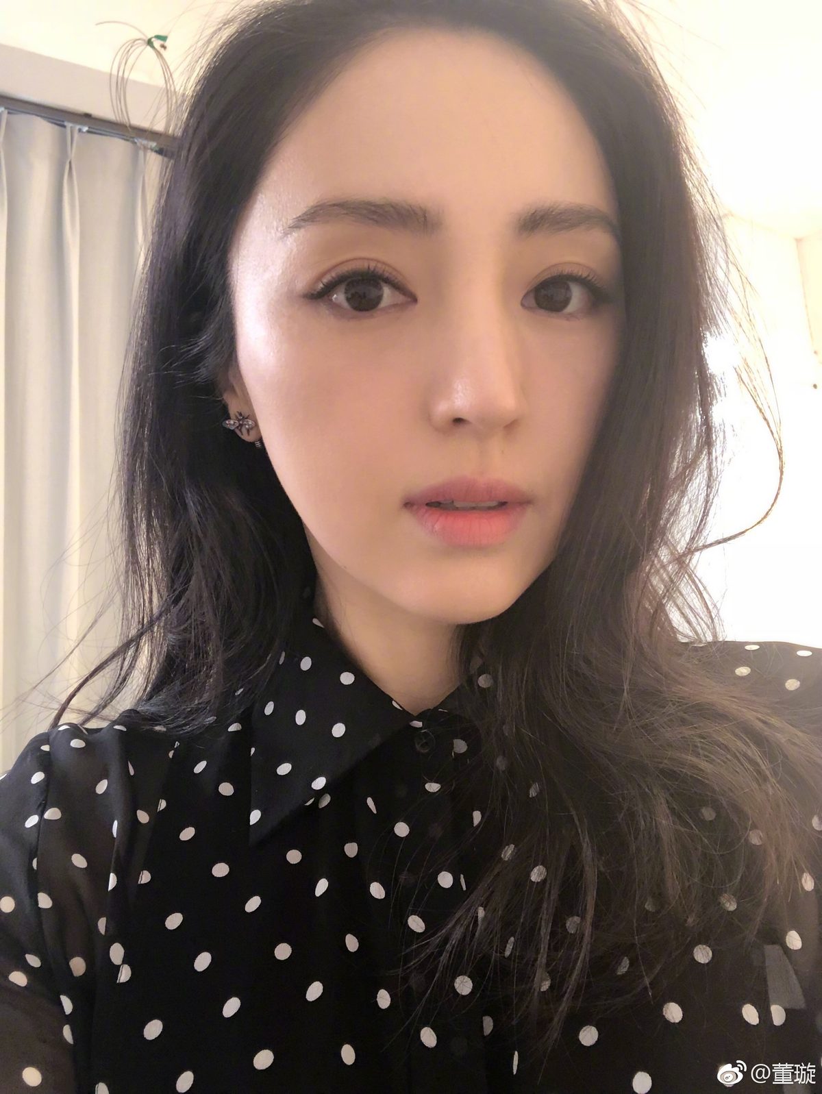 董璇 高清写真/照片下载 #1743619