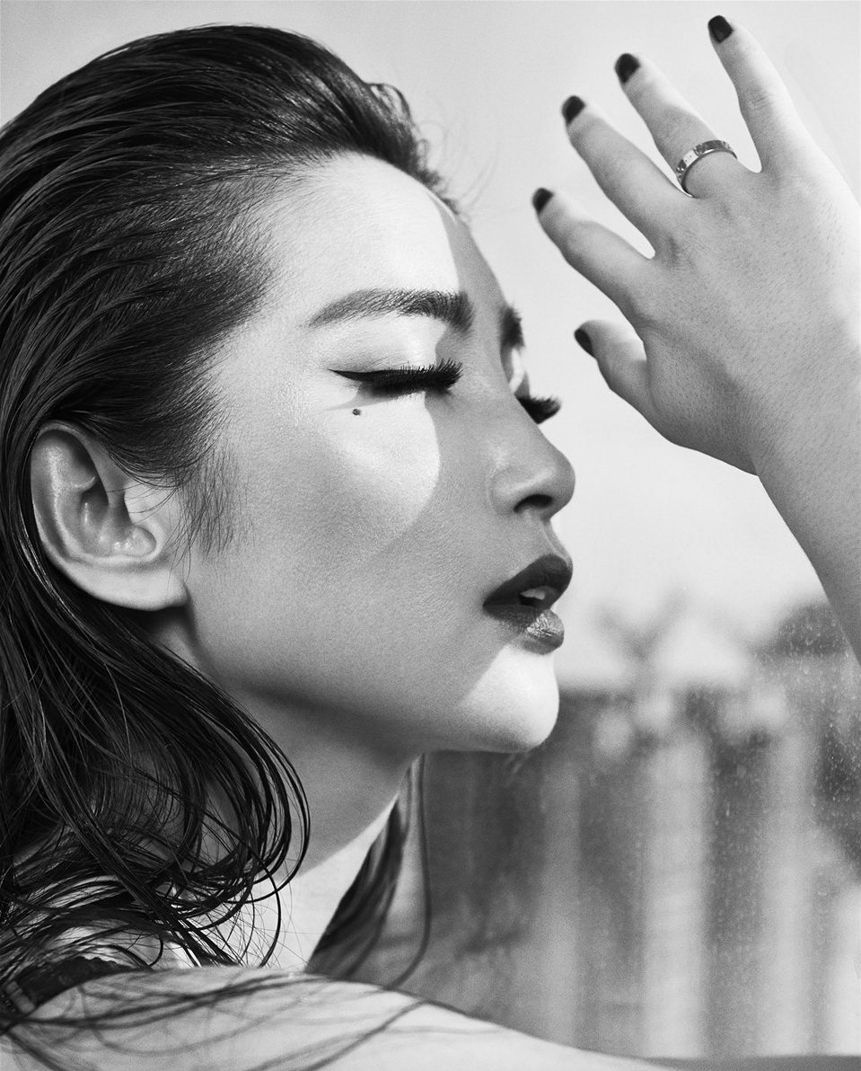 Bingbing Li HD Images/Photo Gallery Download #1402150