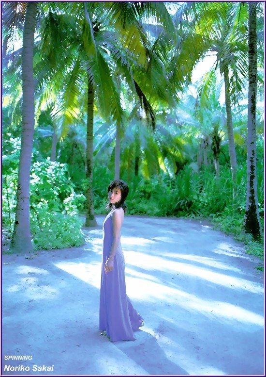 Noriko Sakai HD Images/Photo Gallery Download #9681637