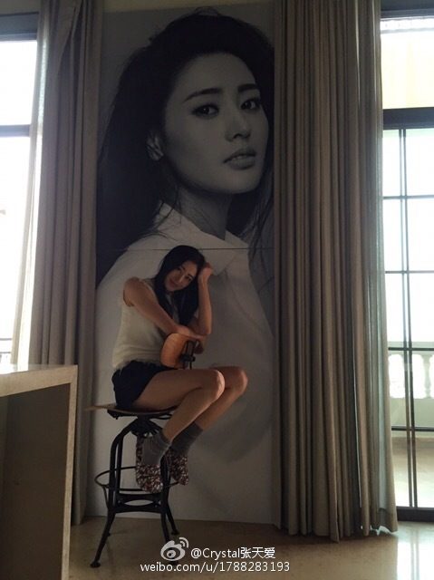 장천애 HD 이미지/사진 갤러리 다운로드 #6659247