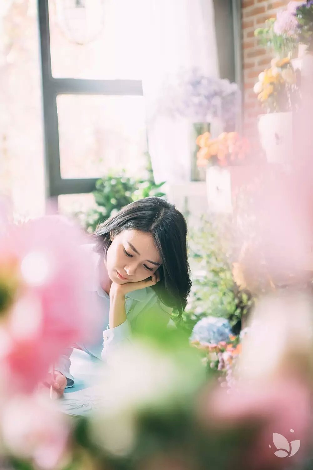 高圆圆 高清写真/照片下载 #670075