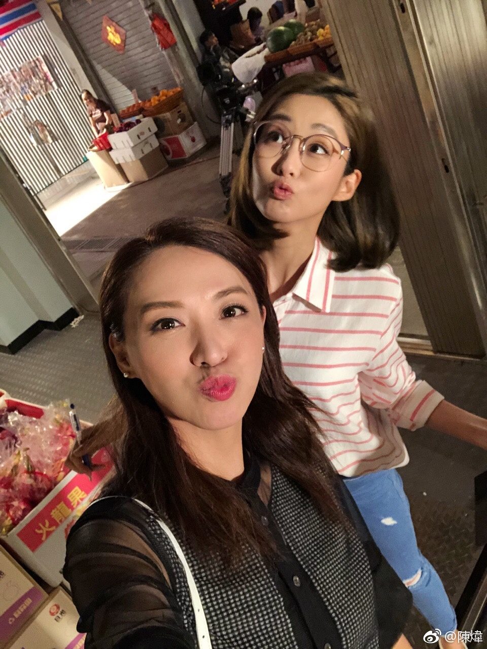 Alice Chan HD Images/Photo Gallery Download #1101136